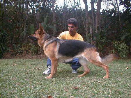 Quina Vom Blutenhaus