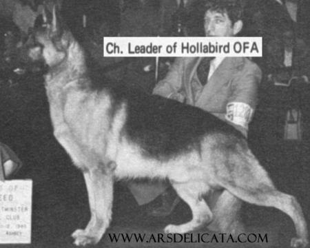 CH (US) Leader of Hollabird
