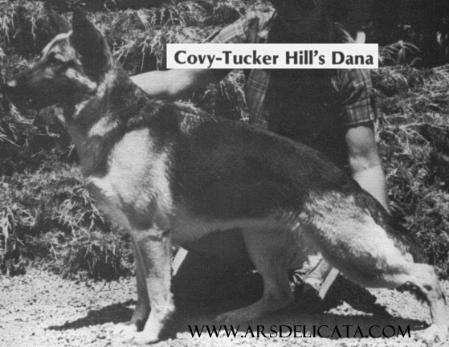 Covy-Tucker Hill's Dana