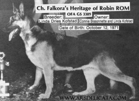 CH (US) Falkora's Heritage of Robin