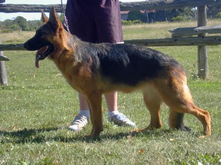 Larina vom Stadtwappen