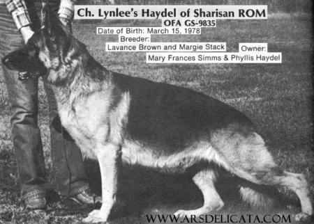 CH (US) Lynlee's Haydel of Sharisan