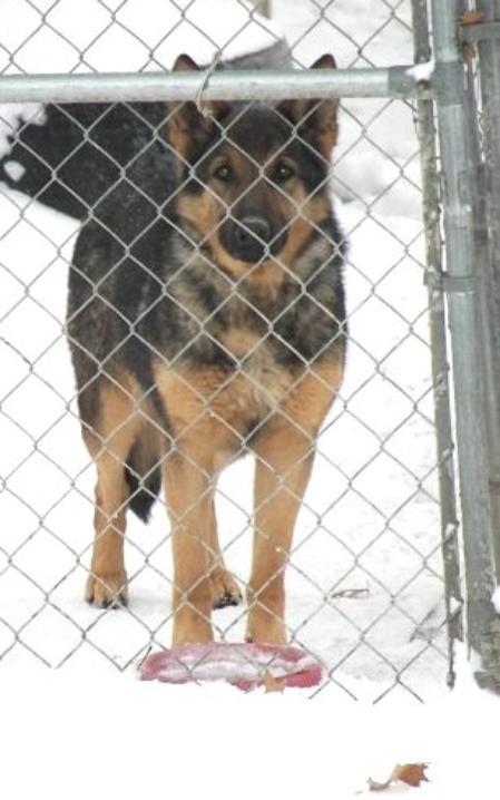 Heide Von Haus Aus Bade