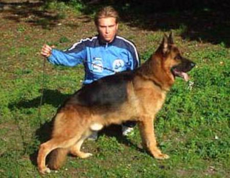 SG Baru della Bocca del Vesuvio