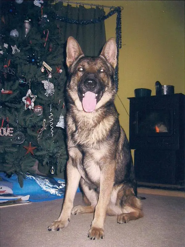 Kazan Von Der Unteren Saar