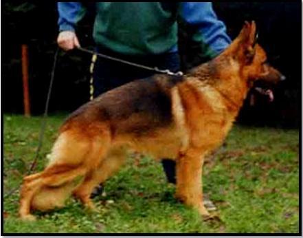 Naf Naf de Marne la Vallee