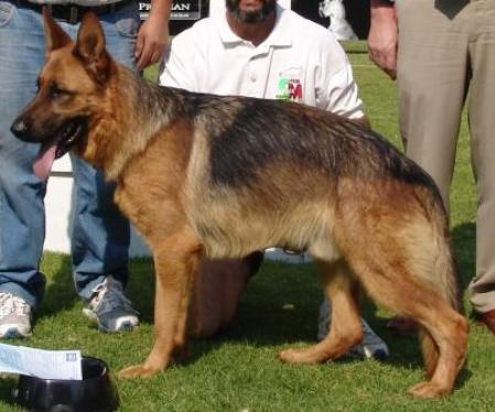 SG Junior Von Garrelu