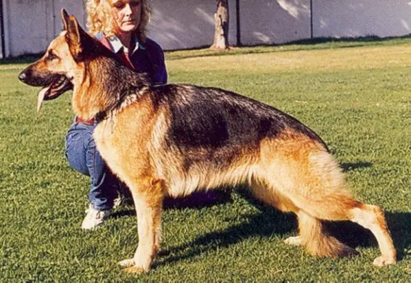 Karlrach Curtain Call