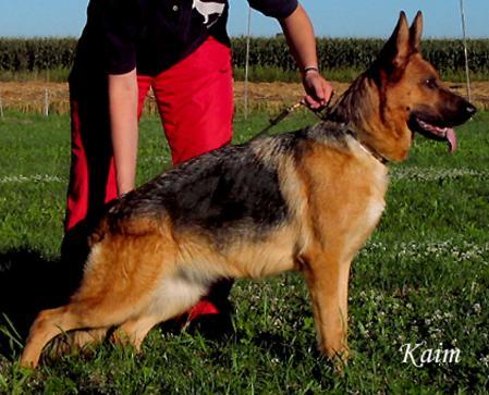 Tabea von der Grafenburg