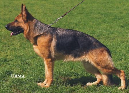 V Mercedes von Aducht