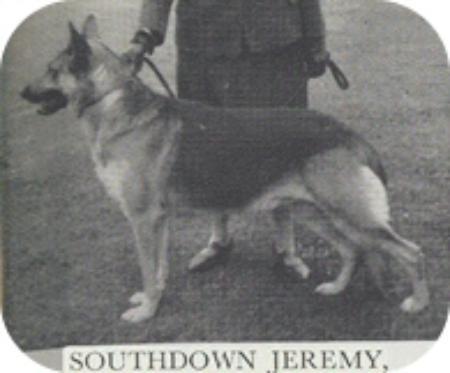 Southdown Jeremy