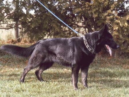 R Paskerts Mia Vom Kraftwerk