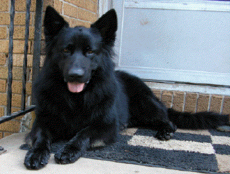 Challengers Vom Grando