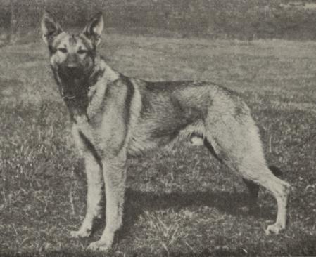 Almund v Agathesfreud