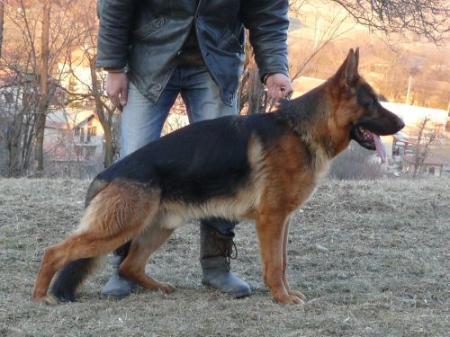 Creck vom Paulländer Hof