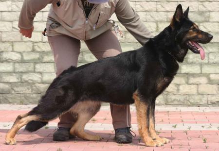 G Fuga pod Tehelnou baňou