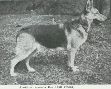 Aladdins Gakenda
