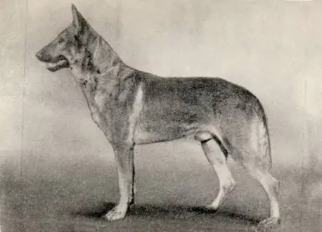 Ditlef vom Philippstor