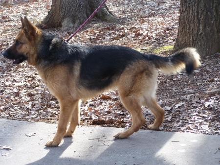 G5 Damarhoff Nina Vom Vinaheus