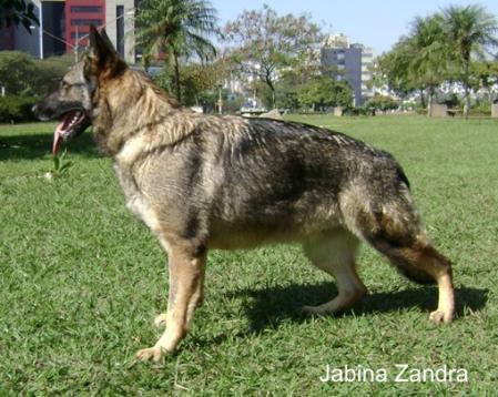 Jabina Zandra