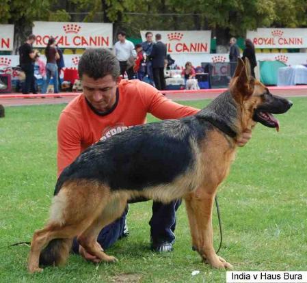 V1 India Von Haus Bura