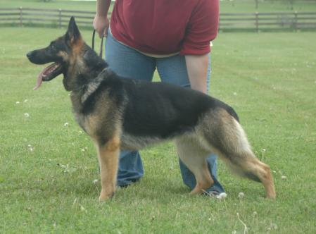 G Kenna vom Salztalblick