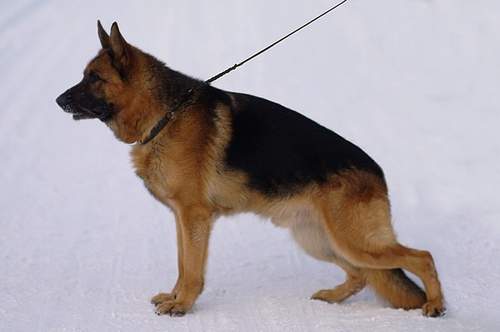 Kai von der Luisenstraße