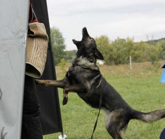 G Fegy Pod Ostrym Vrchom