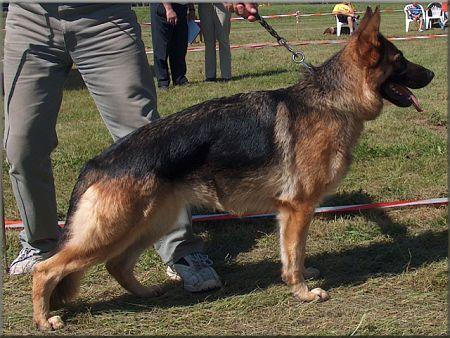 Honda Sądeckie Lachy