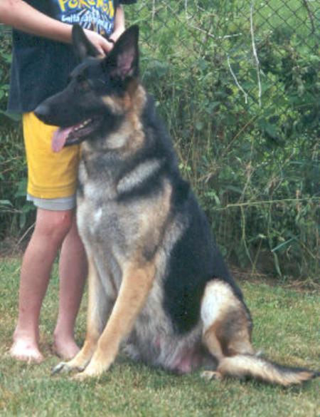 E-Z Brooks Passion N Kisses