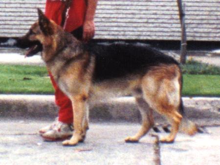 Canek Ausberg (Estrada)