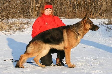 V 7 Ksareks z Lotaha