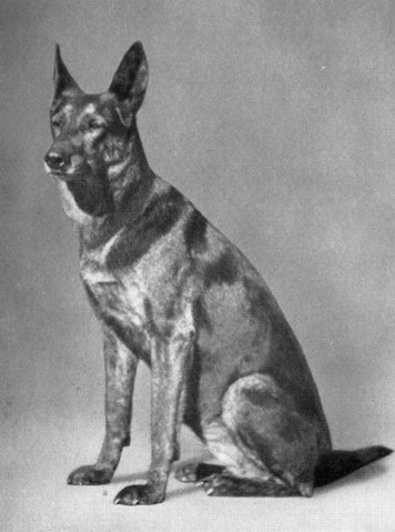 Lena von der Brache