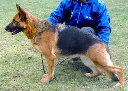 xantah vom haus santo