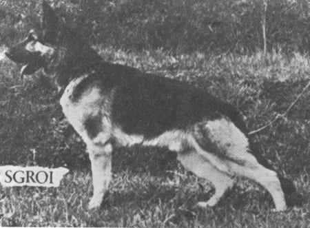 Rondo von Neu Edingen