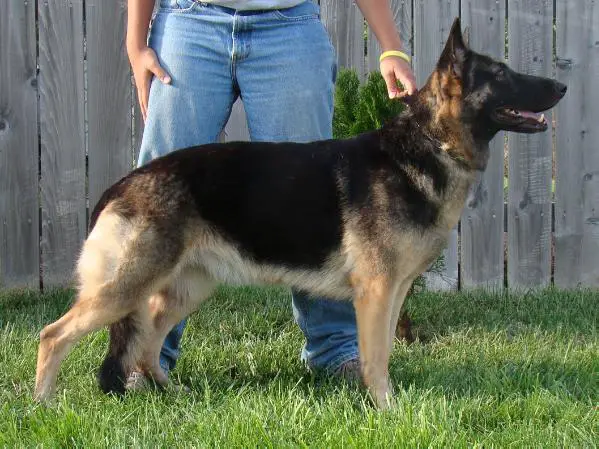 Adryan Spice Von Skogenweber