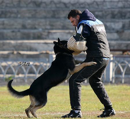 V Zarina Hatserro i Drug