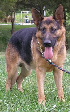 Delta von Haus aus Bade