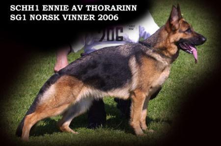 SG1 Ennie av Thorarinn