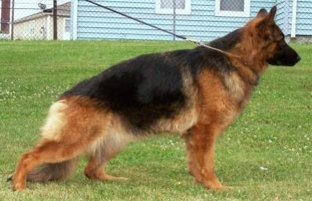 VP1 Britta vom Bethel