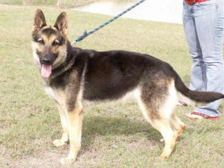 Q A Chance vom Germelhaus