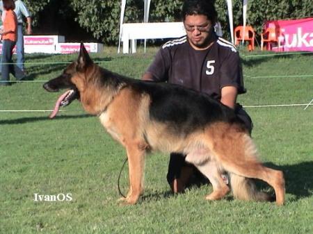 V (COAPA) Thor Von Karajan