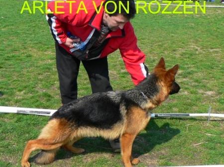 V Arleta von Rozzen