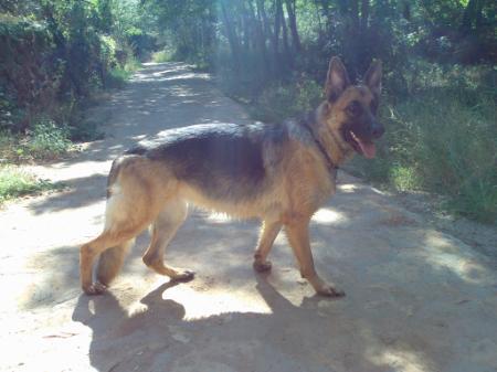 Lusi de Nonche (Cora)