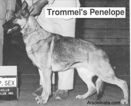 Trommel's Penelope
