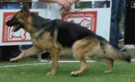 SG Saskia von Fraica