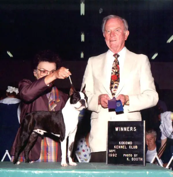 CH. AM. Sunwoods Senator