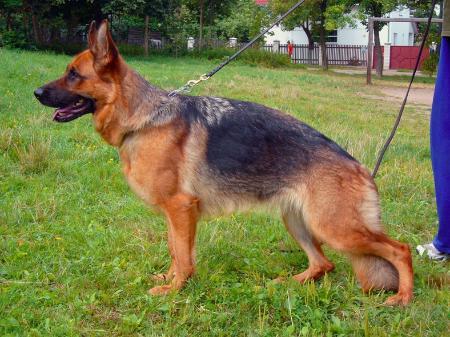 Valea vom Fichtenschlag