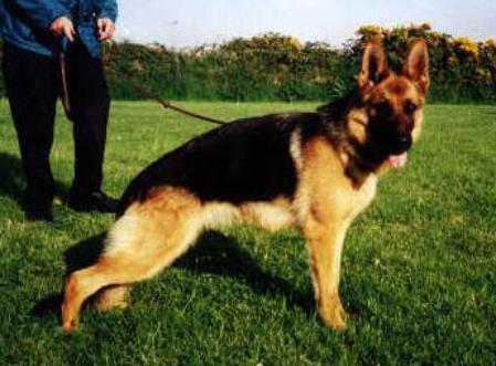 Bygoly Hana del Belezra