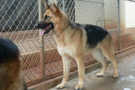 Jenniela von der Dusselquelle